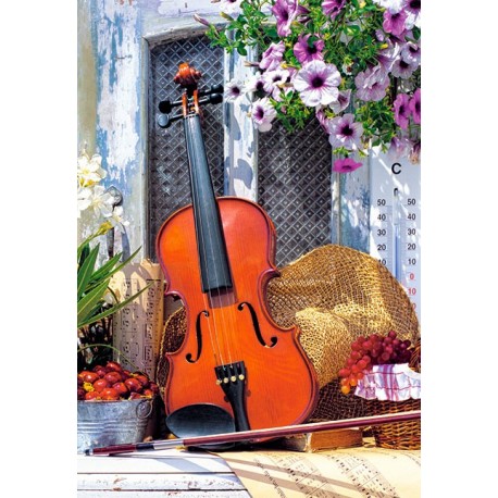 Violin's Melody