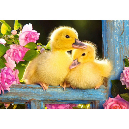 Two Ducklings
