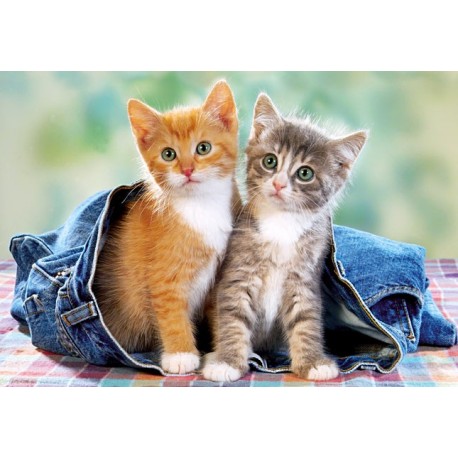 Две малки котета в дънки