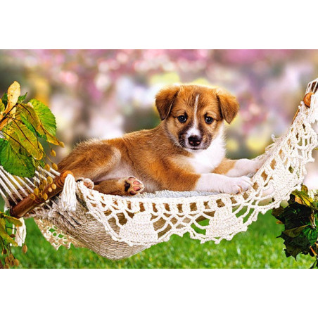 Garden Swing
