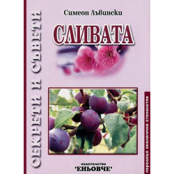 Сливата