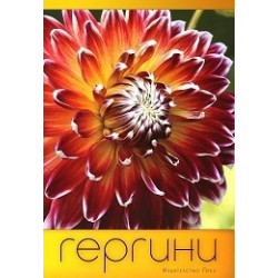 Гергини