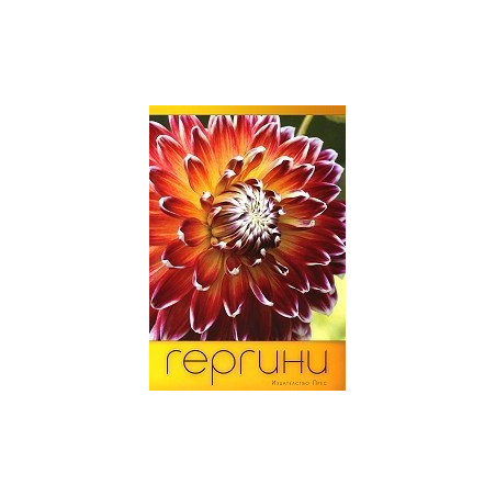 Гергини