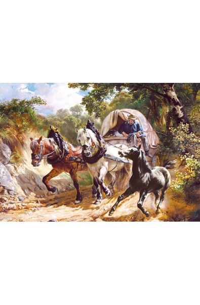 Covered Wagon in a Narrow Path