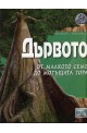 Дървото - от малкото семе до могъщата гора/ Енциклопедична поредица Кръговрати