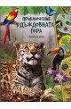 Приключения в дъждовната гора - книга и игра