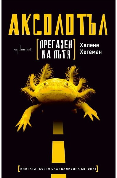 Аксолотъл прегазен на пътя