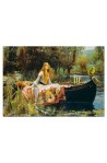 The Lady of Shalott